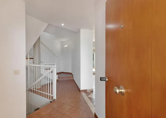 Obsidian Olivino Miraverde * Адехе