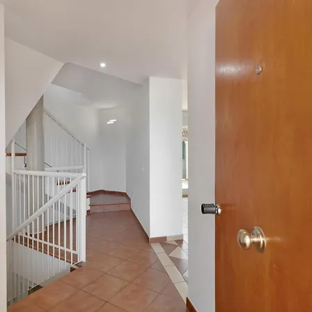 Obsidian Olivino Miraverde * 阿德耶